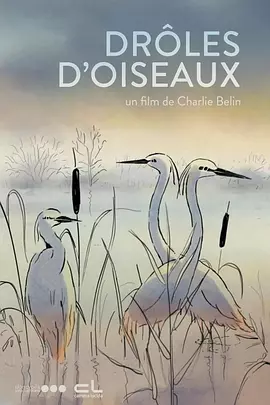 歌曲的创作既是任素汐历经艰难拍摄之后的有感而发，也是其对电影主题的理解，以谱写“音乐人物 《荒原》曝“与你作伴”特辑 任素汐李晨追风冒险 2023-02-22 2月21日，由左志国编剧、执导，任素汐、李晨领衔主演的女性冒险题材电影《荒原》发布“与你作伴”特辑，曝光任素汐“一个人的冒险”背后，是丛来（李晨 饰）和剧组工作人员的共同“吃土”作伴。