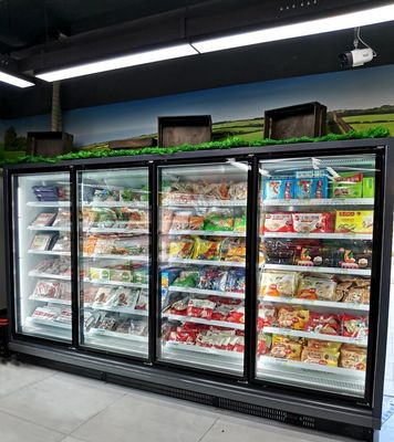 Self Contained Commercial Glass Door Freezer