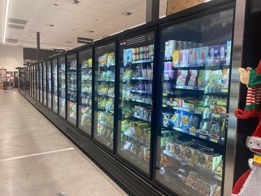 Self Contained Upright Glass Door Freezer Low Temperature 3 4 5 6 Doors
